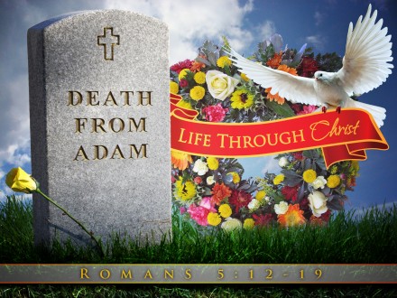 Death Through Adam Life Through Christ
