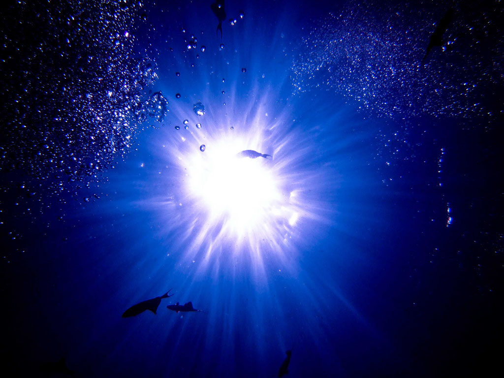 Great Light Scuba Diving